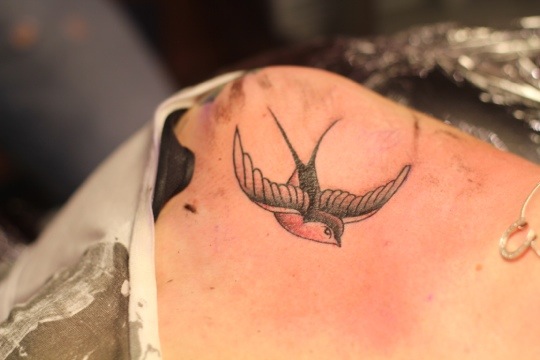 The swallow tattoo was a symbol used historically by sailors to show off